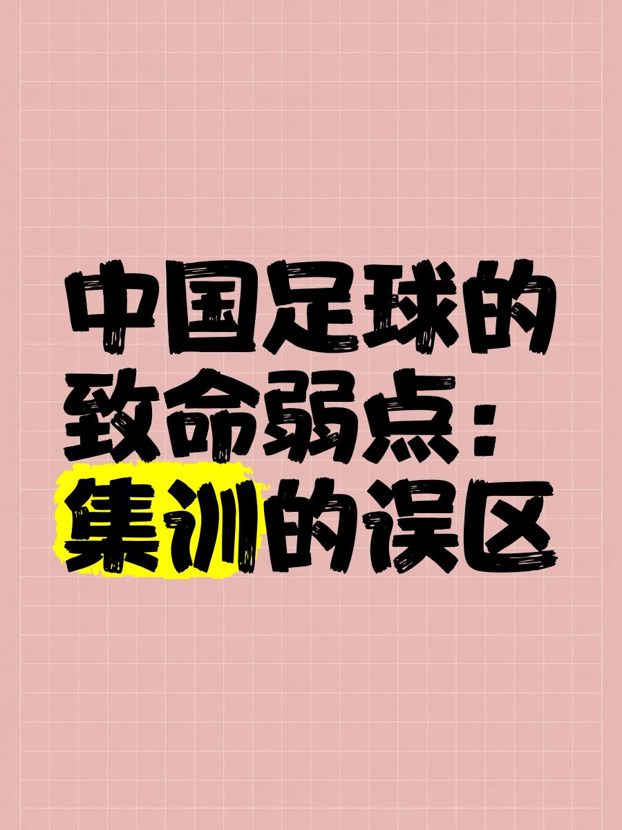 包含九游欢乐官方网站:中国足球青训体系的精英培养与普及推广的平衡：基于资源配置理论的词条