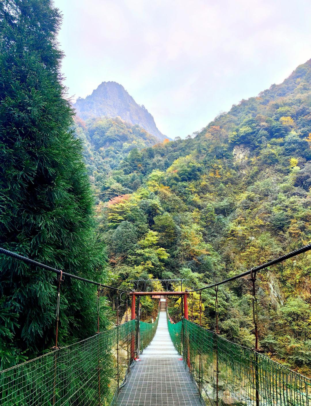 九游娱乐:登山探险，征服自然高峰的简单介绍