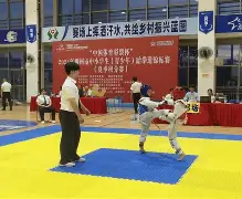 关于jiuyou.com:全球女电竞选手锦标赛：展现女性选手的实力与魅力的信息