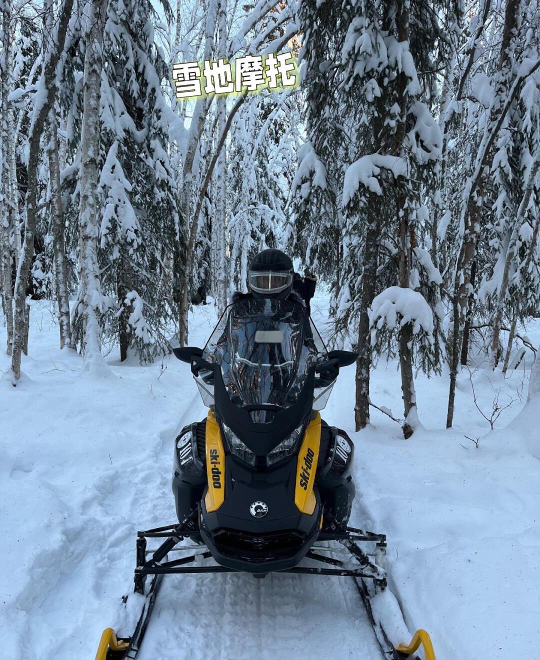 包含九游娱乐:雪橇世界杯，挑战极限速度的词条