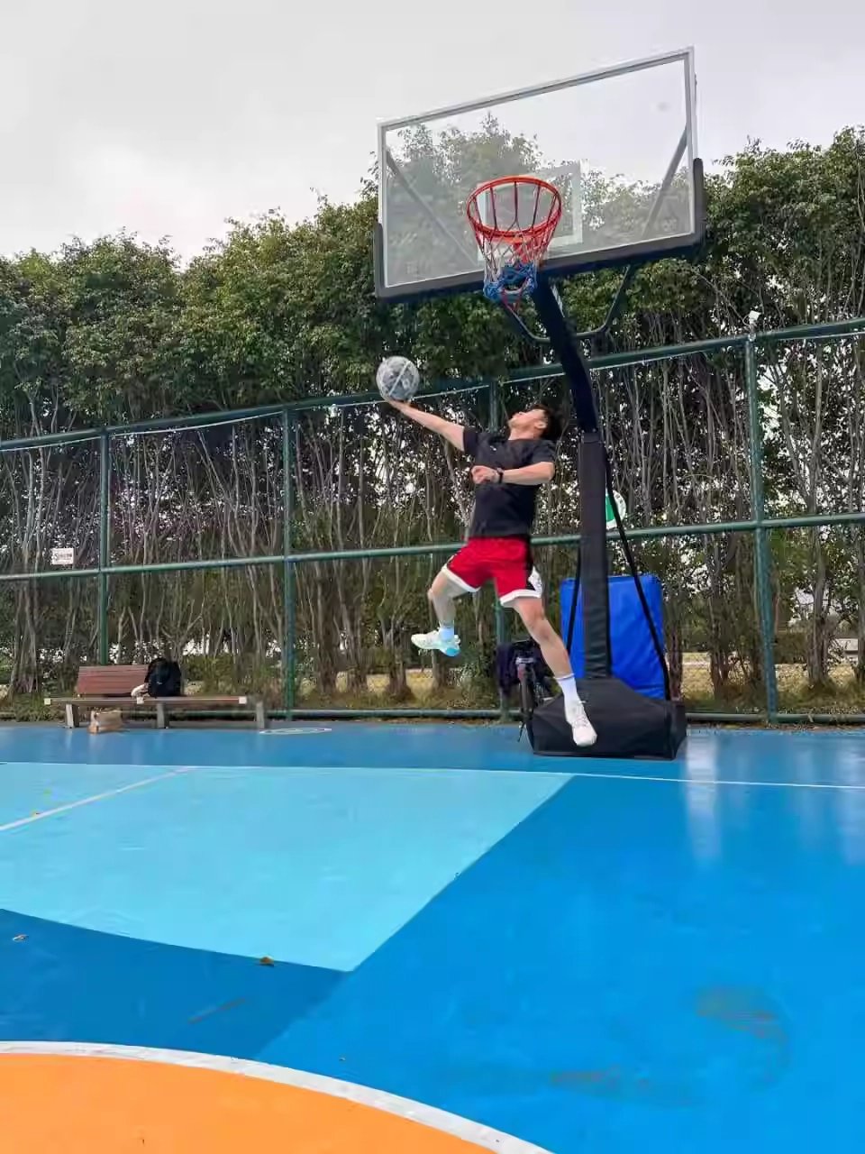 关于九游娱乐：从校园到职业：如何培养未来的篮球明星的信息