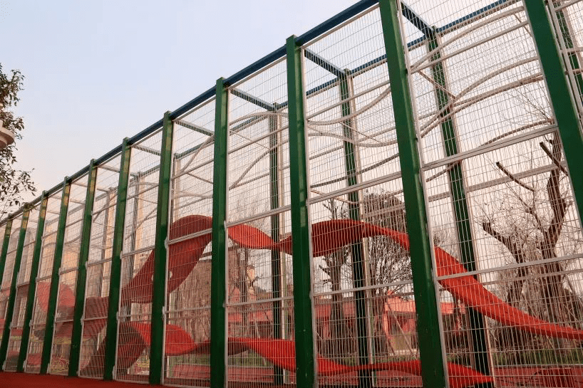 九游欢乐平台:篮球训练营的科学训练方法:如何提升训练效率,避免运动损伤?的简单介绍 九游欢乐平台:篮球训练营的科学训练方法:如何提升训练效率,避免运动损伤?的简单介绍